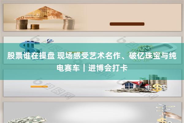股票谁在操盘 现场感受艺术名作、破亿珠宝与纯电赛车｜进博会打卡